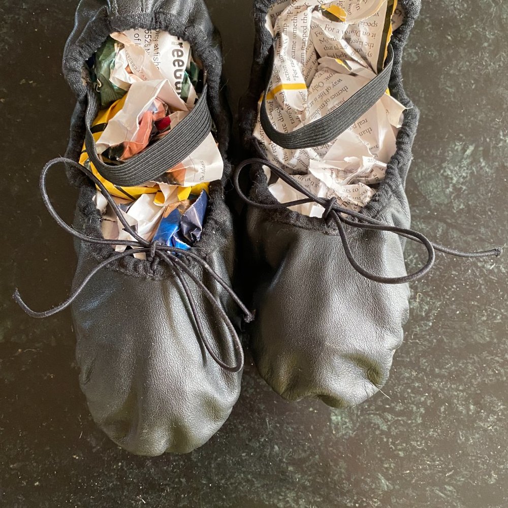 Bloch Kids (or Small Adult) Dansoft Leather Ballet Shoes